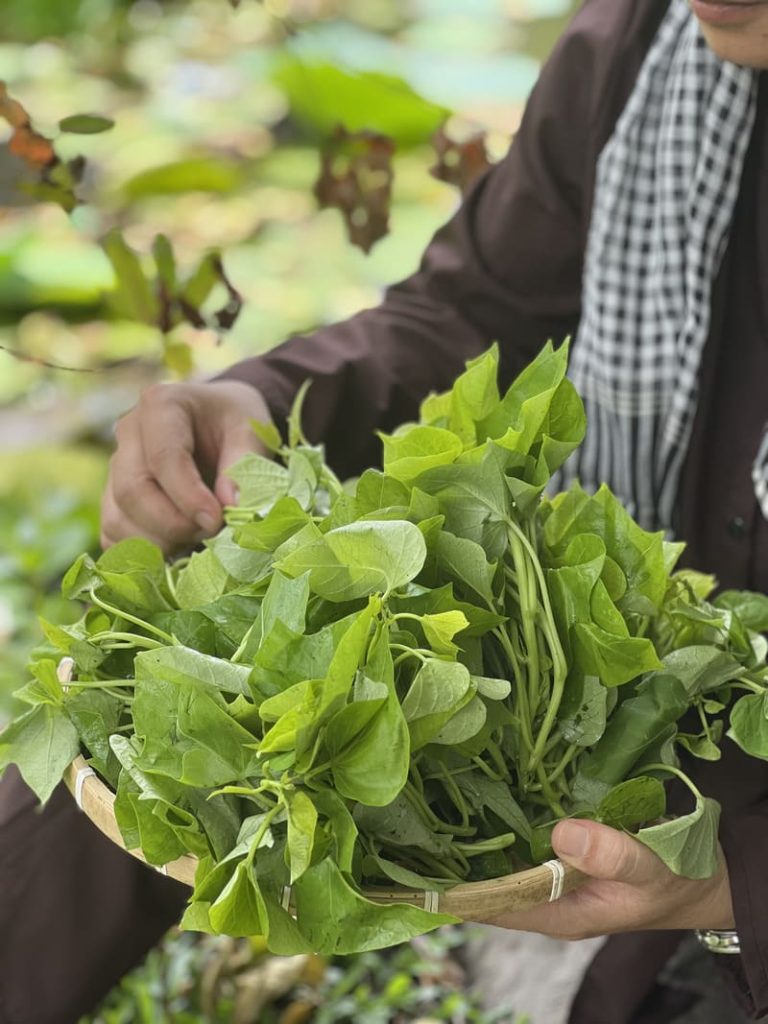 Dưỡng sinh không chỉ là uống thuốc